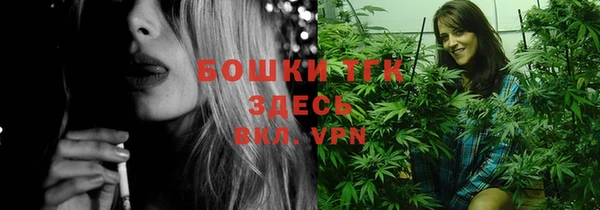 мет Алексин
