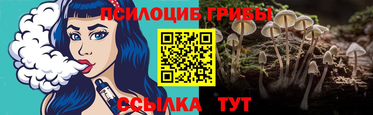 Дзержинск  Галлюциногенные грибы Psilocybine cubensis  Вход с VPN 