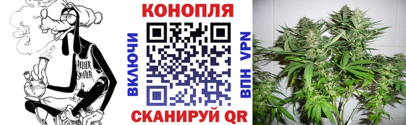 Шишки марихуана MAZAR  гидра как зайти  Дзержинск  магазин продажи  